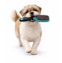 Grooming