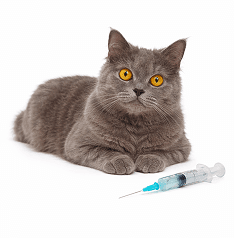 Vaccines